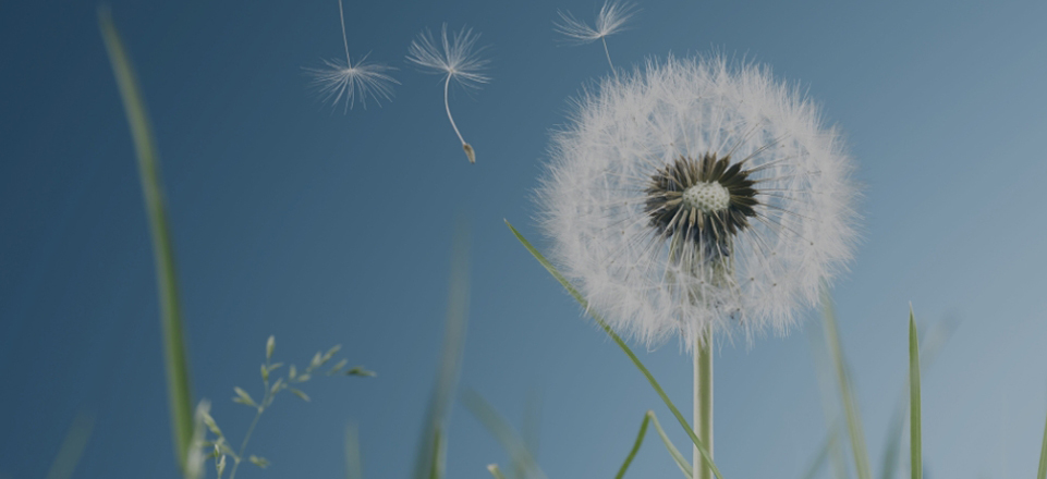 首页- 腾博官网诚信为本,专业服务!